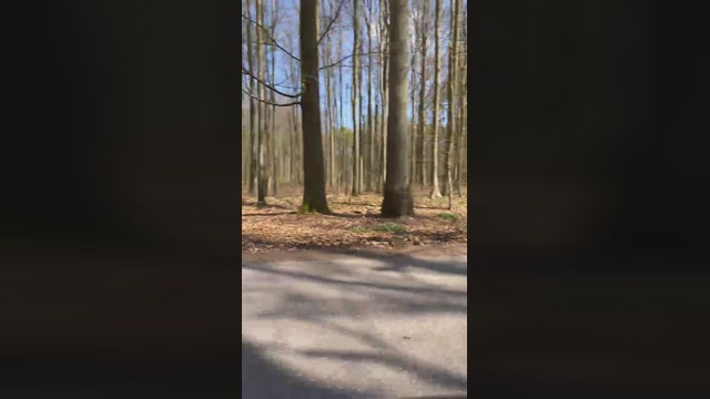 geilerjung69  23-04-2023